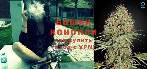 PSILOCYBIN Абаза