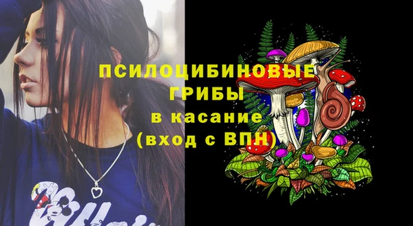 PSILOCYBIN Абаза