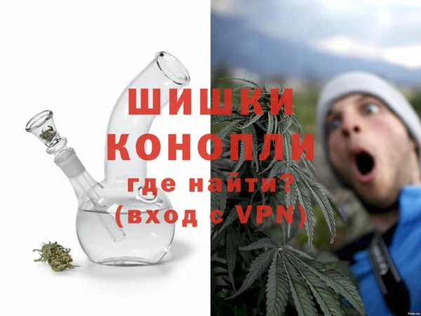 PSILOCYBIN Абаза